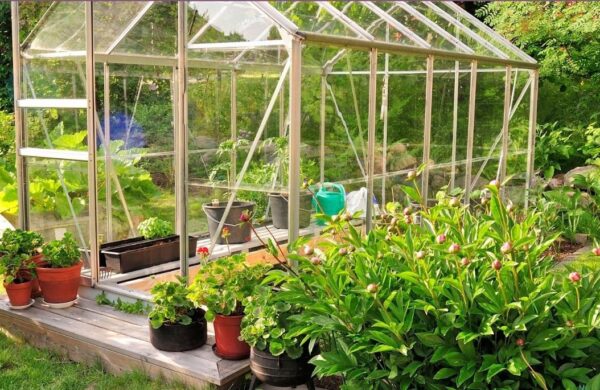 Women’s Centre Greenhouse Project